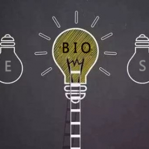 通過BIO模型對用戶進行畫像及人群細分